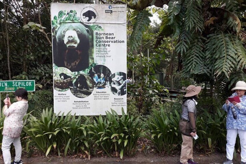  Sepilok Orangutan , SunBear , Proboscis Monkey & Sandakan City