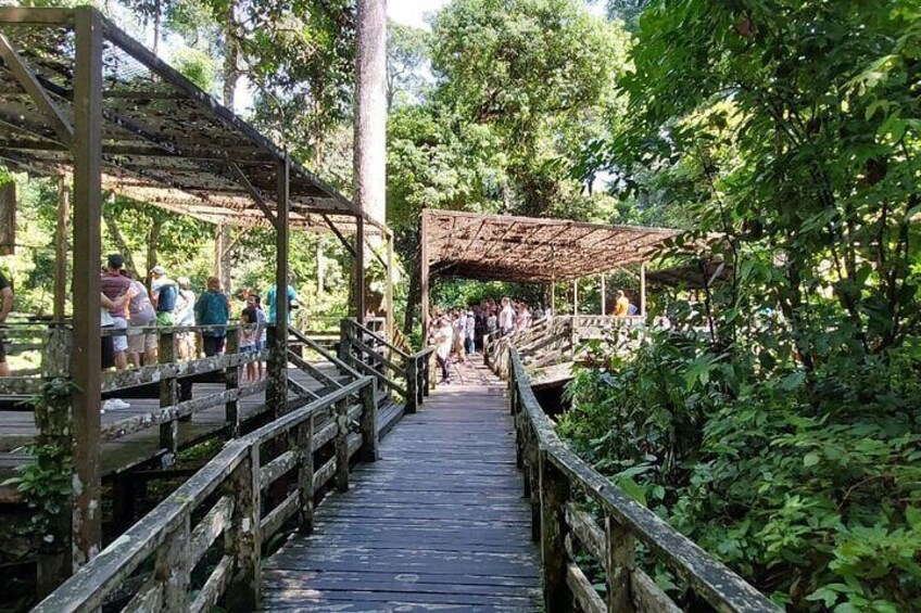  Sepilok Orangutan , SunBear , Proboscis Monkey & Sandakan City