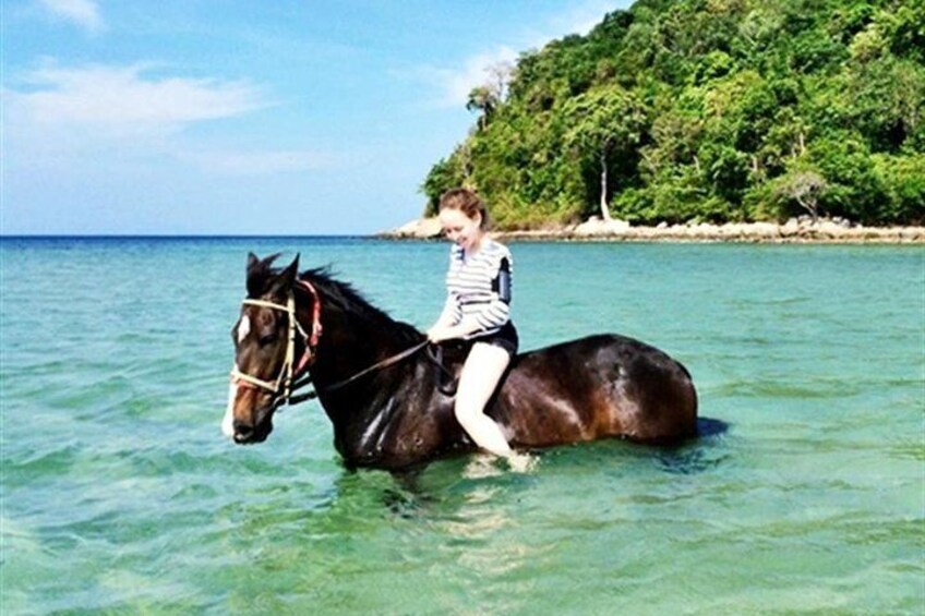 Krabi Horse Riding Program