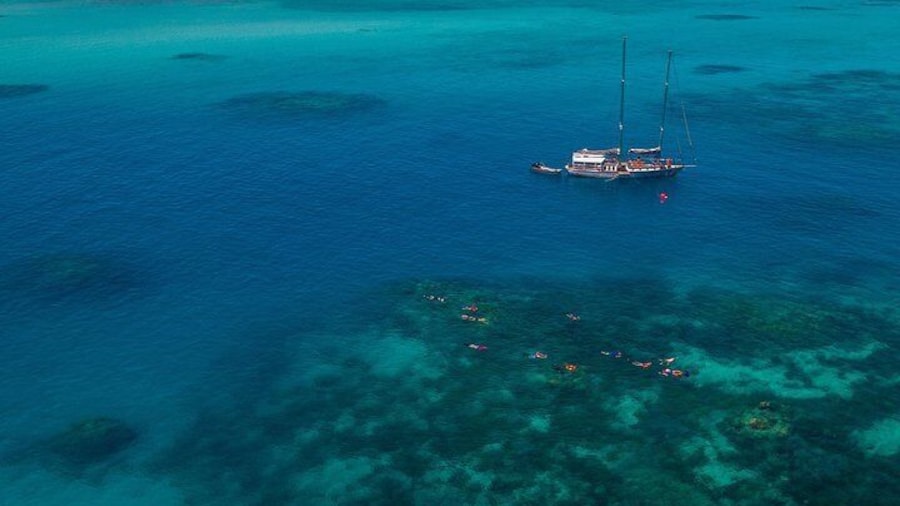 Green Island and Great Barrier Reef Sailing Cruise