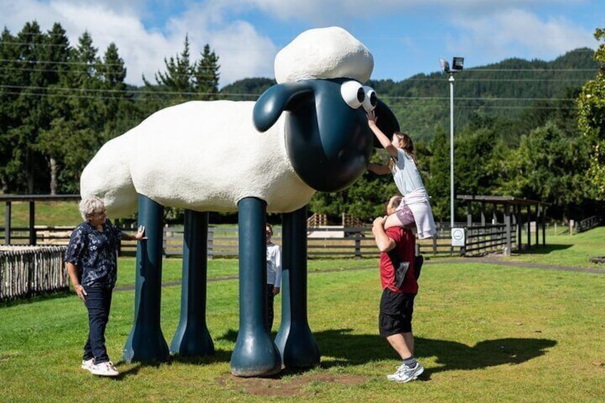 Agrodome Farm Experience including Farm Show and Farm Tour - Rotorua
