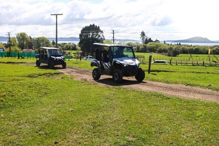 Off-Road 4WD Buggy Adventure from Rotorua