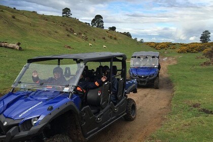 Off-Road 4x4 Buggy Adventure from Rotorua