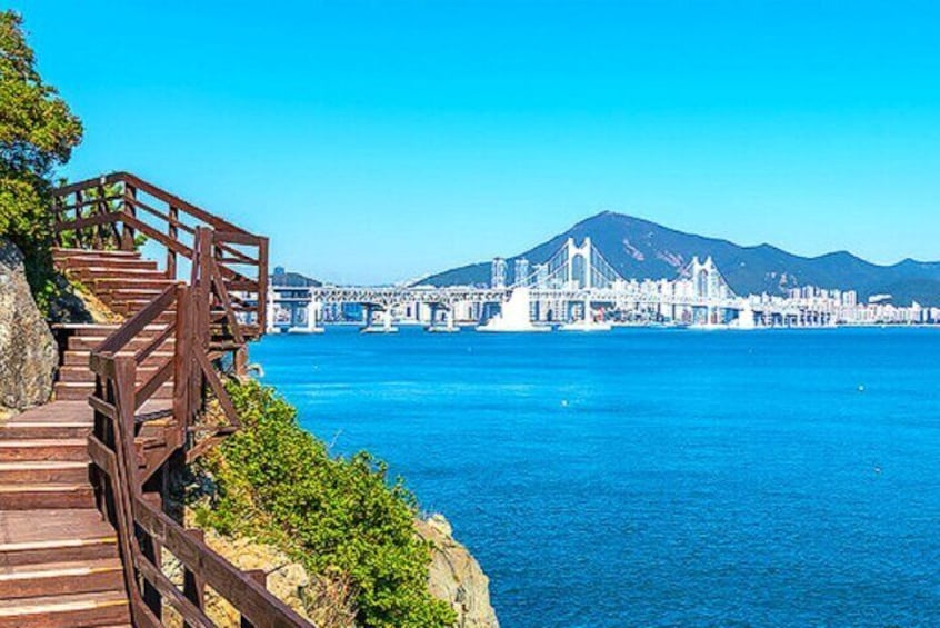 1 Day Busan Guided Tour