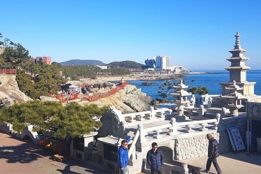 1 Day Busan Guided Tour