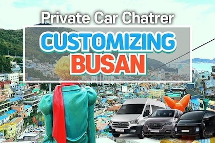 1 Day Private Busan Guided Tour