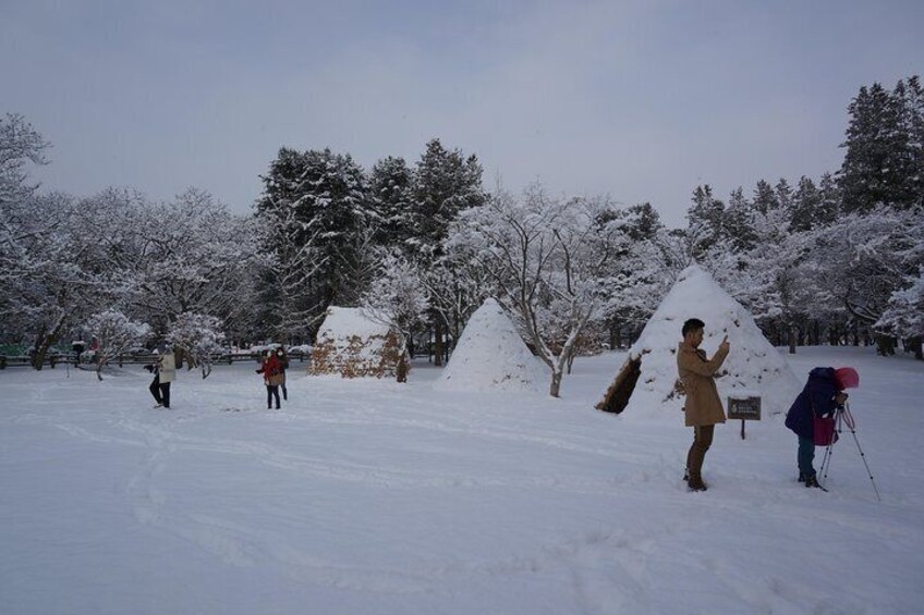 Private Tour: Nami Island & Petite France or Garden of Morning Calm