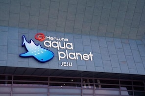 Aquaplanet Jeju Transfer, One way, Round trip
