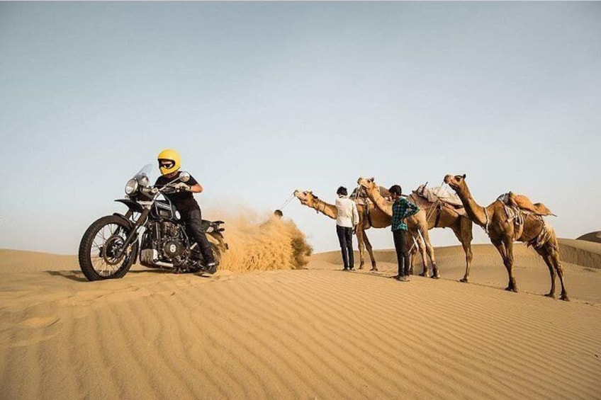 Biking And Camel Ride at Thar Desert
