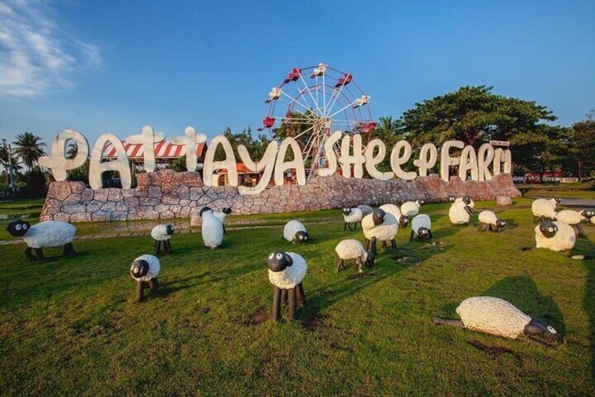 Pattaya sheep Farm Entrance Tickets