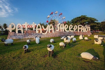 Biglietti d'ingresso alla fattoria delle pecore di Pattaya