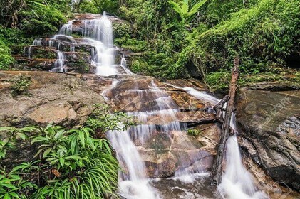 Chiang Rai - Best of Mae Kam Pong (Community Ecotourism) Hiking & Sightseei...