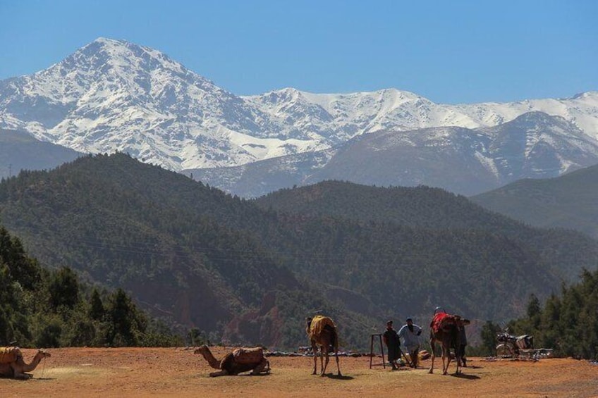 Day Excursion To Ourika Valley and High Atlas From Marrakech: Shared