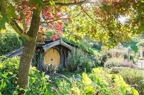 Rotorua Geysers and Hobbiton experience