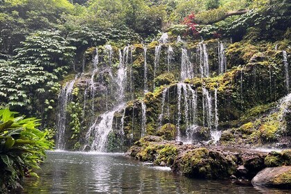 Sekumpul 和 Banyumala 瀑布徒步旅行（私人和全包）
