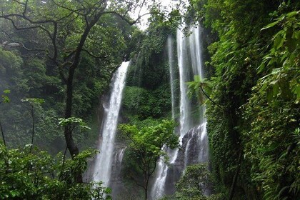 Sekumpul and Banyumala Waterfalls Hiking Tour with Ulundanu Bratan Temple