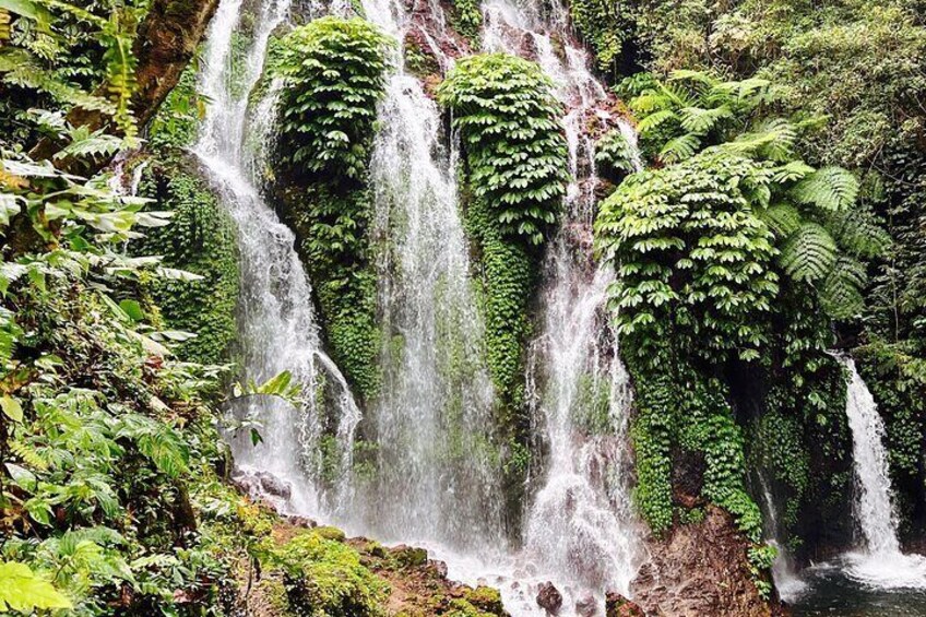 Banyuwana & Banyumala Waterfalls Tour (Private & All-Inclusive )