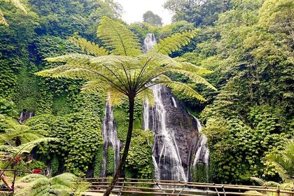 Excursión privada: Excursión de senderismo por las cataratas Sekumpul