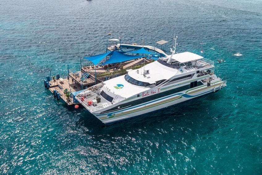 Reef Cruise