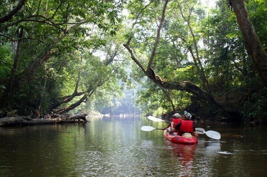 Premium Sea Canoeing Trip at Phang Nga Bay Speed Boat Tour