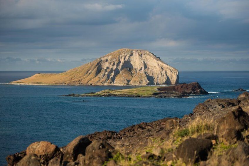 Rabbit Island