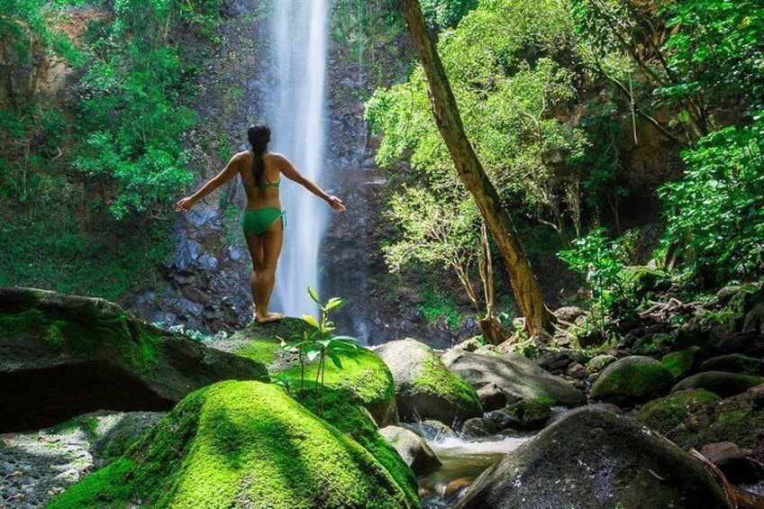 Wailua River Kayak and Sacred Fall Hike Adventure