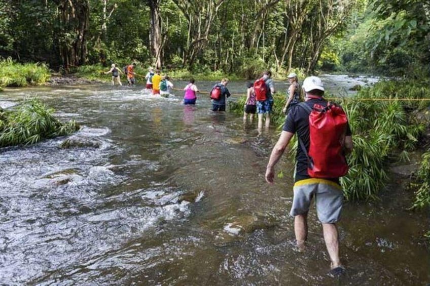 Wailua River Kayak and Sacred Fall Hike Adventure