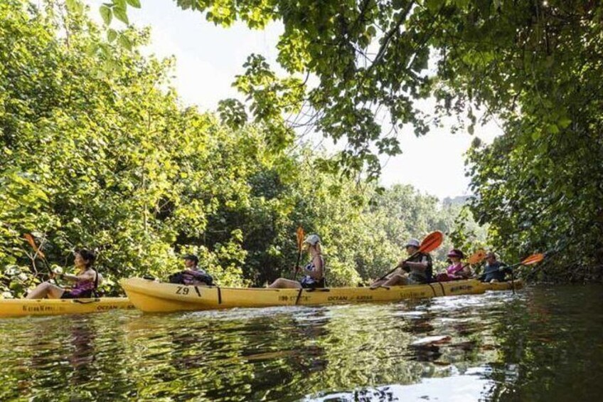 Wailua River Kayak and Sacred Fall Hike Adventure