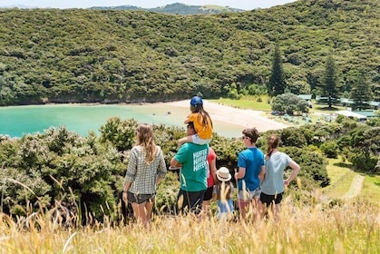 Discover the Bay - Hole in the Rock cruise includes Island Lunch