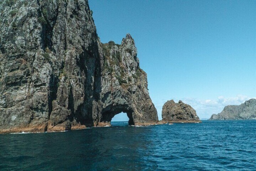 Bay of Islands Discover the Bay cruise including Dolphins