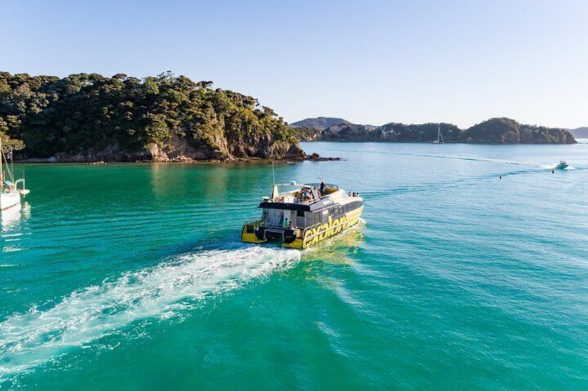 Bay of Islands Discover the Bay cruise including Dolphins