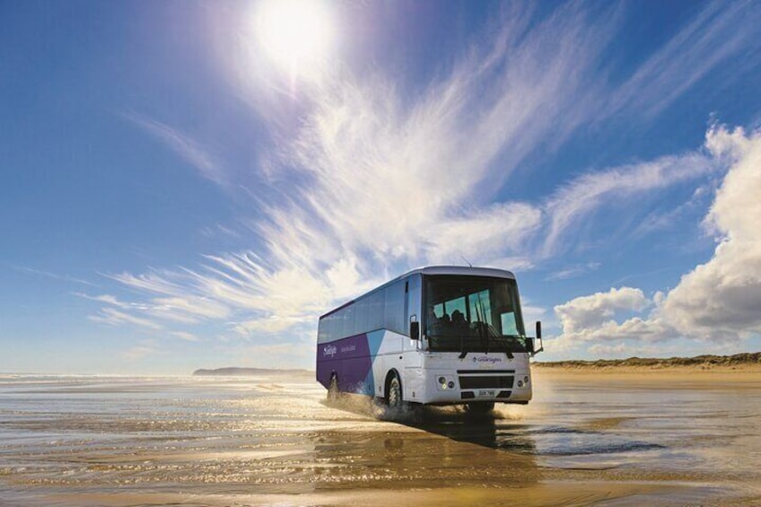 Far North New Zealand Tour Including 90 Mile Beach and Cape Reinga from Paihia