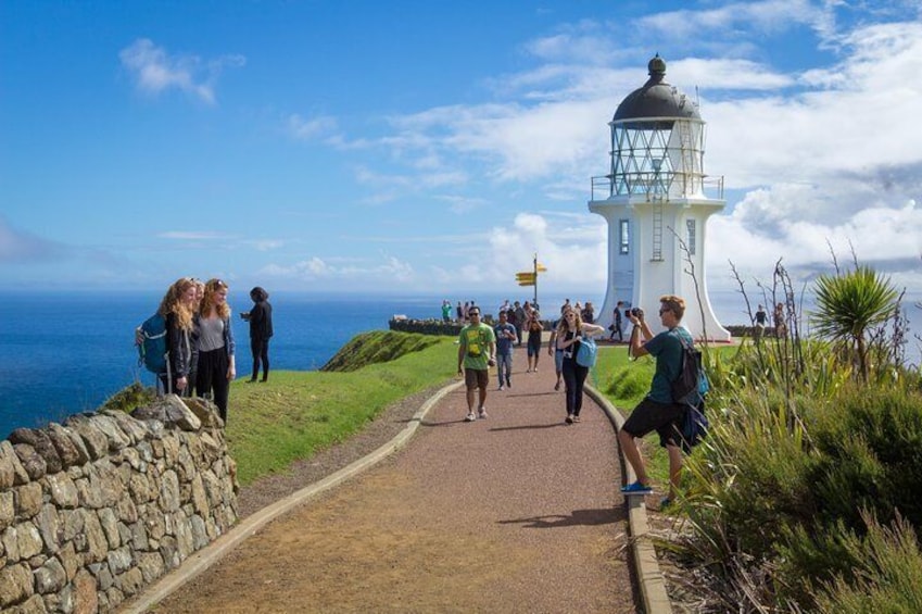 Far North New Zealand Tour Including 90 Mile Beach and Cape Reinga from Paihia