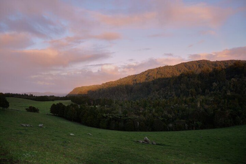 Sunrise over the Puketi Forest