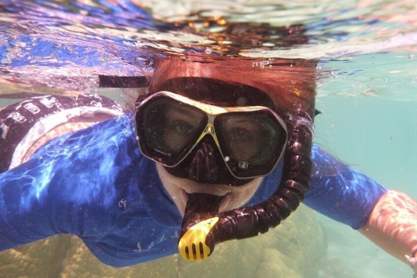 Bay of Islands Cruise & Island Tour - Snorkel, Hike, Swim, Paddleboard, Wildlife
