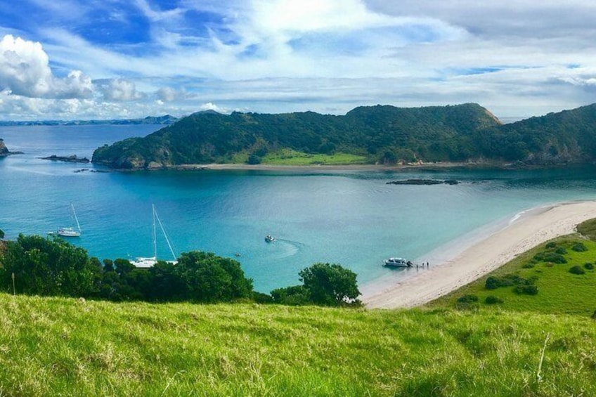 Bay of Islands Cruise & Island Tour - Snorkel, Hike, Swim, Paddleboard, Wildlife
