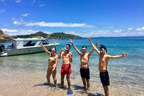 Bay of Islands Cruise & Island Tour - Snorkel, Hike, Swim, Paddleboard, Wil...