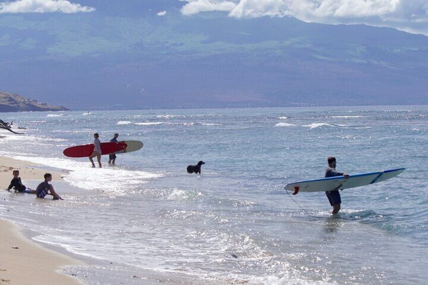 Private Surf Lesson for One Near Lahaina