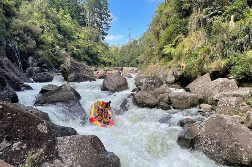 Wairoa river - Roller Coaster rapid