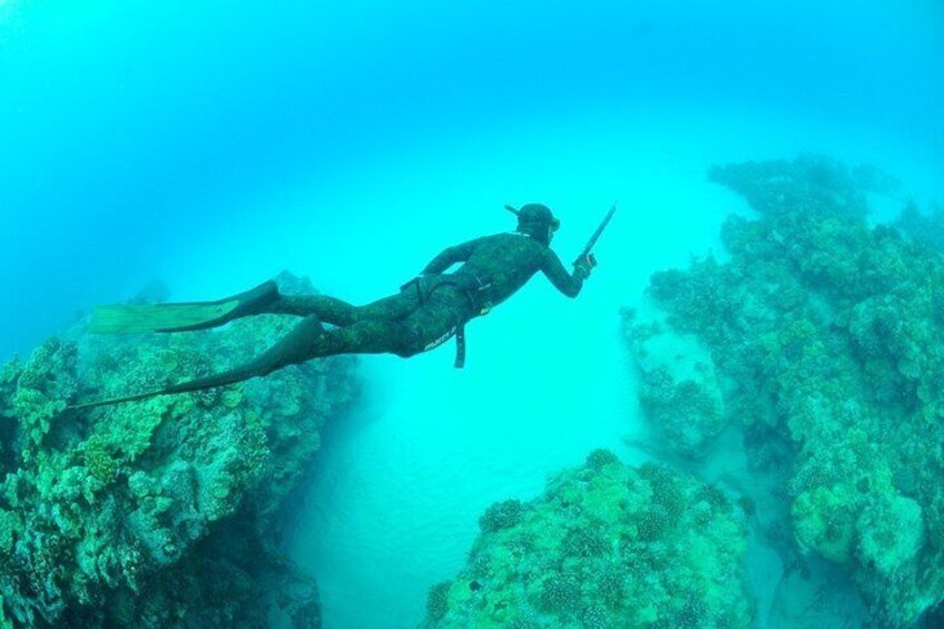 Spearfishing