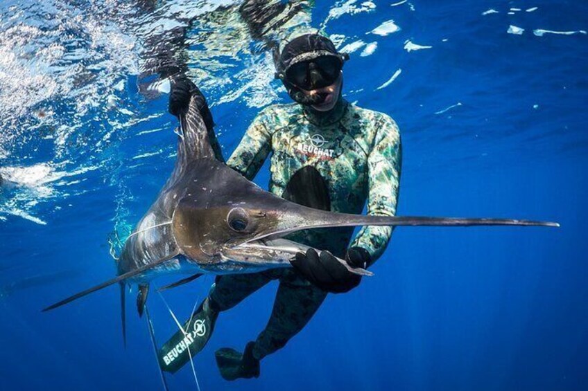Spearfishing