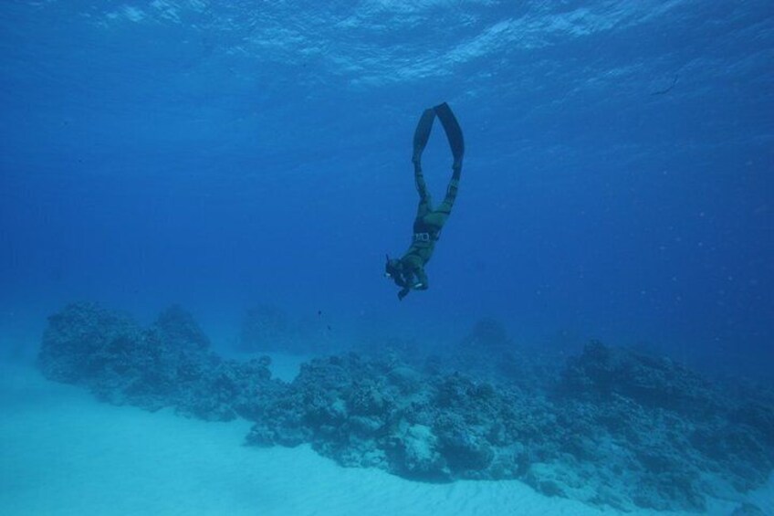 Spearfishing