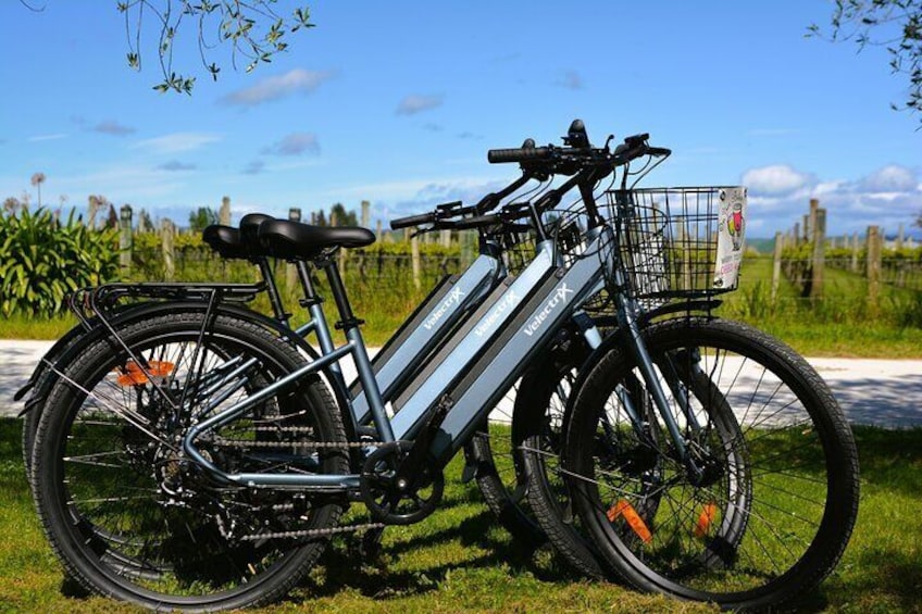 Hawkes Bay Wineries Electric Self-Guided Bike Tour