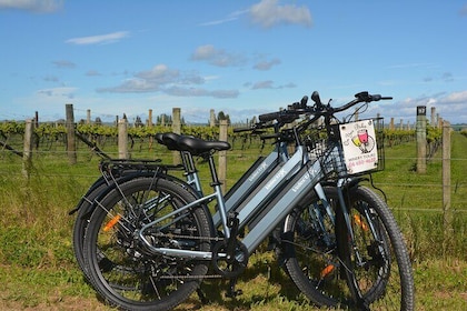 Hawkes Bay Wineries Electric Self-Guided Bike Tour