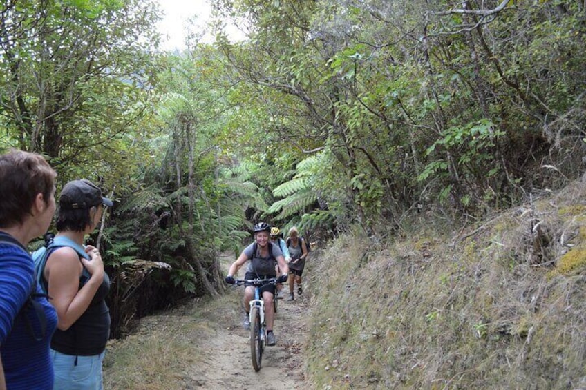 Great Lake Trail Lake Taupo 2-Day Mountain Biking Tour