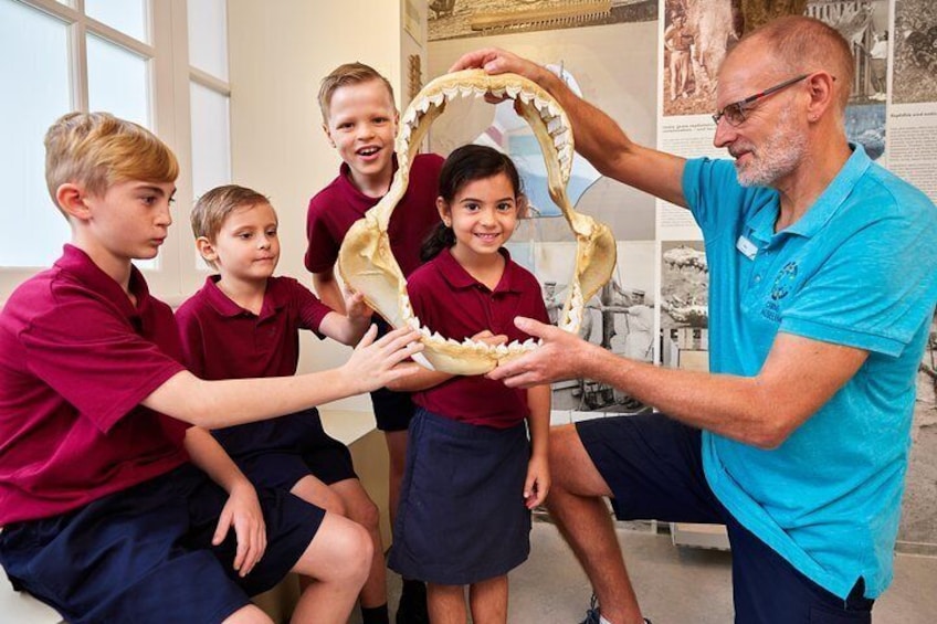 Skip the Line: Cairns Museum Single Admission Ticket