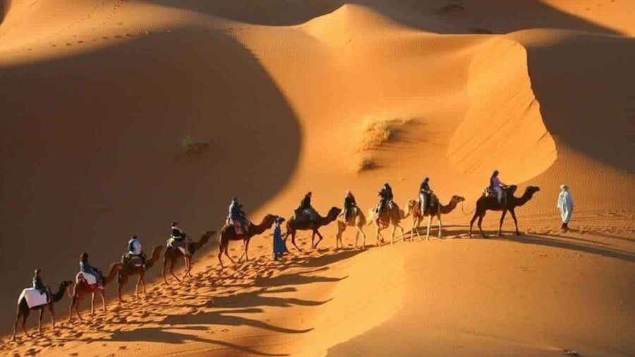 Desrt tour from Marrakech