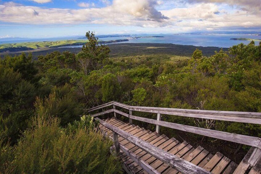 Rangitoto Island ferry