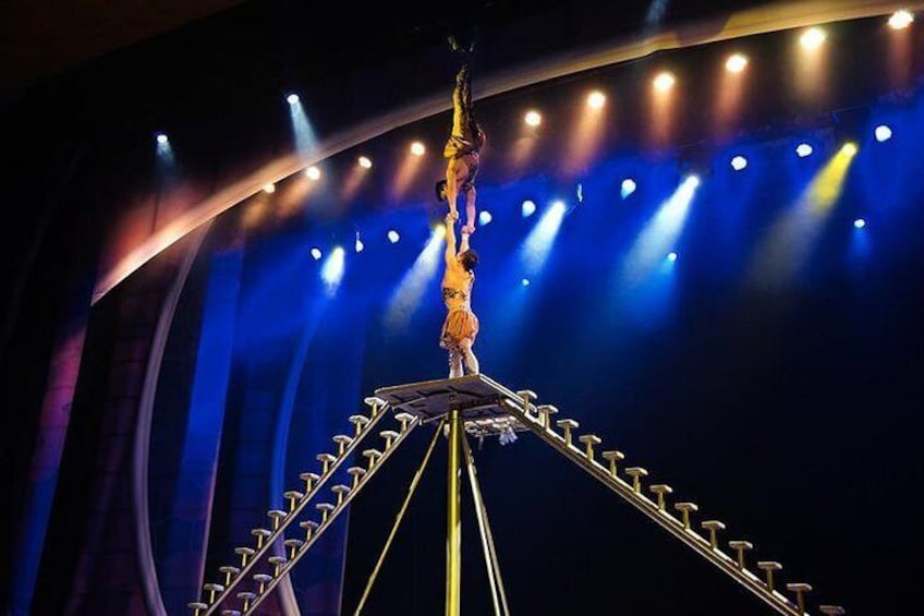 Private Beijing Night Life: Cooking, Dining And Acrobatic Show