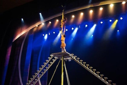 Beijing Evening Acrobatic Show in Chaoyang Theatre with Private Transfer